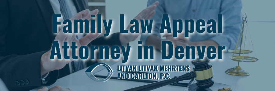 family law appeal attorney
